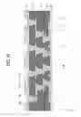 Fig. 17 - Wiring substrate and manufacturing method thereof