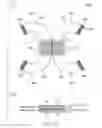 Fig. 12 - Flexible printed circuit board with component mounting section for mounting electronic component and flexible cables extending in different directions from the component mounting section, and method of manufacturing the same