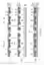 Fig. 14 - Flexible printed circuit board with component mounting section for mounting electronic component and flexible cables extending in different directions from the component mounting section, and method of manufacturing the same
