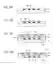 Fig. 15 - Wiring board and method of producing the same