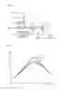 Fig. 10 - Electric power steering apparatus