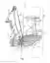 Fig. 02 - Treestand bow holder and related method of use