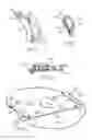 Fig. 03 - Drum brake