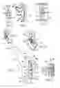 Fig. 04 - Drum brake