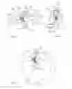 Fig. 02 - Compelling-type radial clutch device with C-shaped joint structure