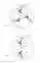 Fig. 05 - Compelling-type radial clutch device with C-shaped joint structure