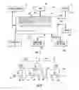 Fig. 02 - Singulated release for zoned conveyor systems