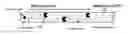 Fig. 01 - AFFINITY CAPILLARY ELECTROPHORESIS METHOD FOR ASSESSING A BIOLOGICAL INTERACTION OF A LIGAND/RECEPTOR PAIR SUCH AS G PROTEIN COUPLED RECEPTOR AND ITS TARGETS AS WELL AS FOR DRUG SCREENING