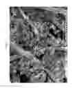 Fig. 04 - OIL FILTERS CONTAINING STRONG BASE AND METHODS OF THEIR USE