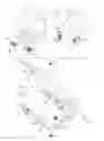 Fig. 03 - Equipment mounting structure