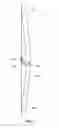 Fig. 04 - Holding device