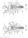Fig. 19 - Magnetic drive for dispensing apparatus