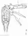 Fig. 30 - Surgical instrument having recording capabilities