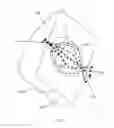 Fig. 04 - DEVICE THAT CAN MAKE PULSED WATER