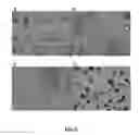 Fig. 12 - Mechanical lysis arrangements and methods