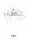 Fig. 05 - Dual-layer suction cup