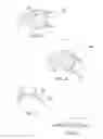 Fig. 03 - SUCTION APPARATUS AND METHOD OF USE THEREOF
