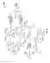 Fig. 07 - Autofocus system with stray light compensation