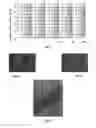 Fig. 04 - COMPOUND MATERIAL COMPRISING A METAL AND NANOPARTICLES