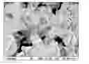Fig. 01 - Nano-YAG:Ce phosphor compositions and their methods of preparation