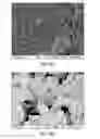 Fig. 10 - Nano-YAG:Ce phosphor compositions and their methods of preparation