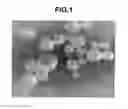 Fig. 02 - Phosphor particles and making method