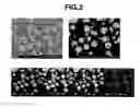 Fig. 03 - Phosphor particles and making method