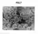 Fig. 08 - Phosphor particles and making method