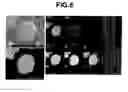Fig. 09 - Phosphor particles and making method