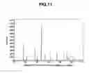 Fig. 12 - Phosphor particles and making method
