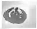 Fig. 01 - Laser protection polymeric materials