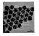 Fig. 01 - CAGE NANOSTRUCTURES AND PREPARTION THEREOF
