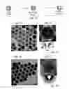 Fig. 02 - CAGE NANOSTRUCTURES AND PREPARTION THEREOF
