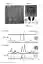 Fig. 03 - CAGE NANOSTRUCTURES AND PREPARTION THEREOF