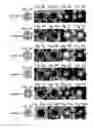 Fig. 04 - CAGE NANOSTRUCTURES AND PREPARTION THEREOF