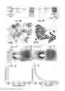 Fig. 09 - CAGE NANOSTRUCTURES AND PREPARTION THEREOF