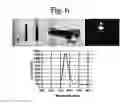 Fig. 07 - Semiconductor nanocrystals used with LED sources