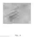 Fig. 07 - SEMICONDUCTOR EPITAXIAL STRUCTURE