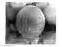 Fig. 01 - Phosphor particles, making method, and light-emitting diode