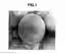 Fig. 02 - Phosphor particles, making method, and light-emitting diode
