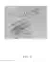 Fig. 07 - Epitaxial structure and method for making the same