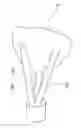 Fig. 01 - METHOD OF PRODUCING AN INDIVIDUALIZED TOOTH VENEER AND A HOLDER