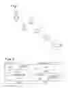 Fig. 02 - Method and device for producing pig-iron based stainless steel without using a supply of electrical energy