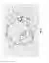 Fig. 09 - Universal chassis