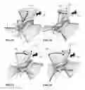 Fig. 09 - Mechanisms for creating undulating motion, such as for propulsion, and for harnessing the energy of moving fluid