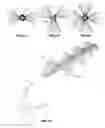 Fig. 11 - Mechanisms for creating undulating motion, such as for propulsion, and for harnessing the energy of moving fluid