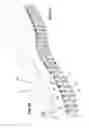 Fig. 18 - Mechanisms for creating undulating motion, such as for propulsion, and for harnessing the energy of moving fluid