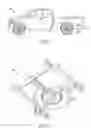 Fig. 02 - Apparatus for stowing a spare tire