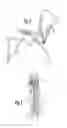Fig. 04 - COLLAPSIBLE CHAIR