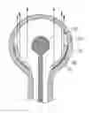 Fig. 01 - Field emission lamp with mesh cathode